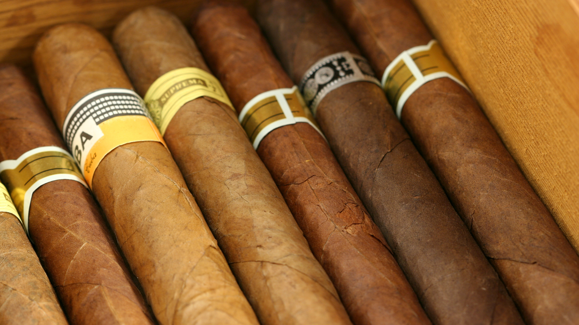 Die 5 bekanntesten Zigarrenmarken im Überblick