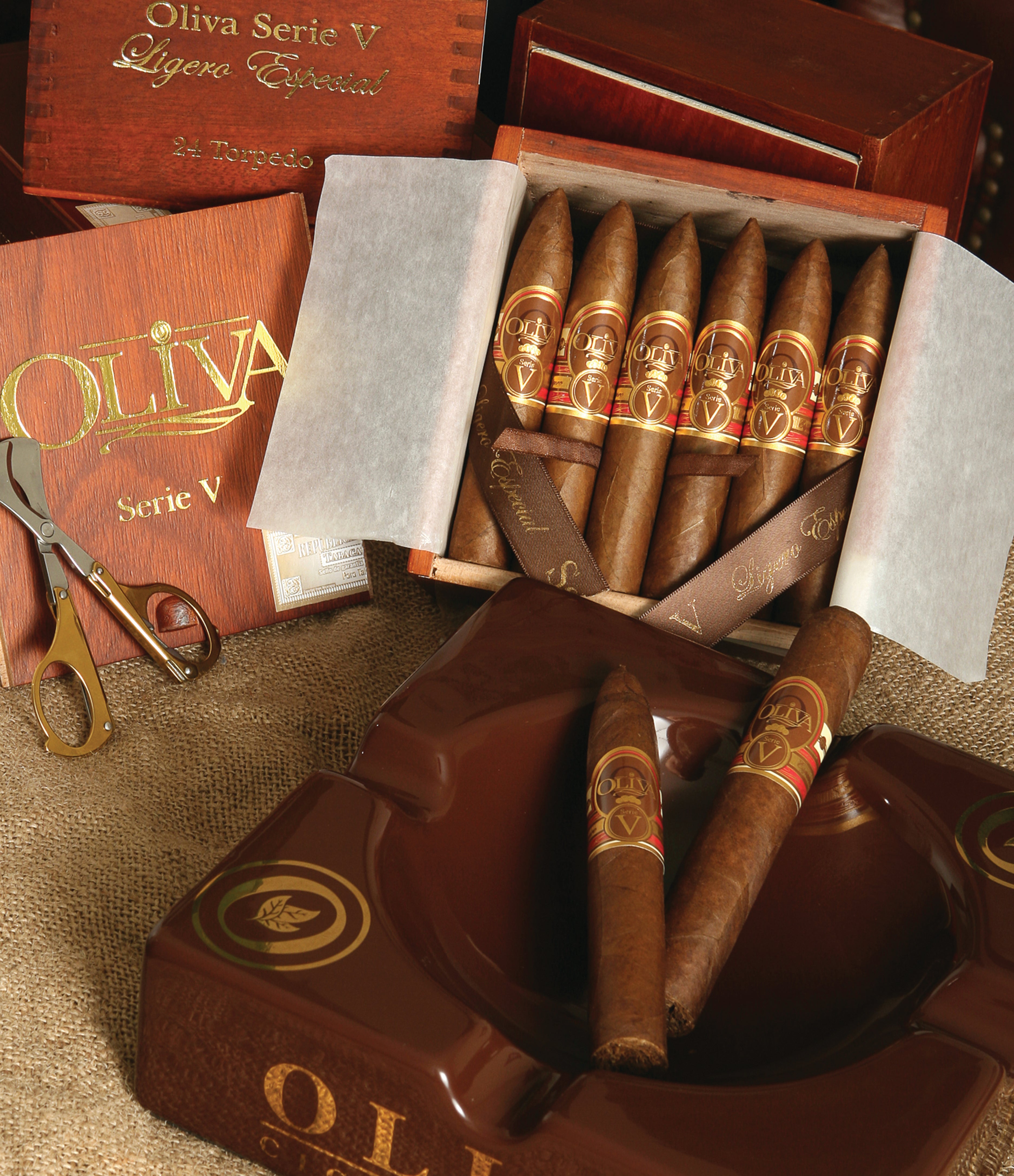 Oliva_Serie_V-Image.jpg