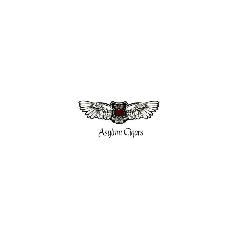 asylum_logo_828fd9f7-c205-44a9-98b4-3442e1e8d532.png