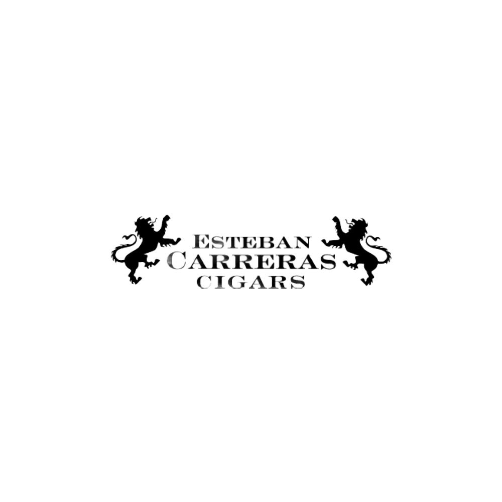 esteban_logo.png