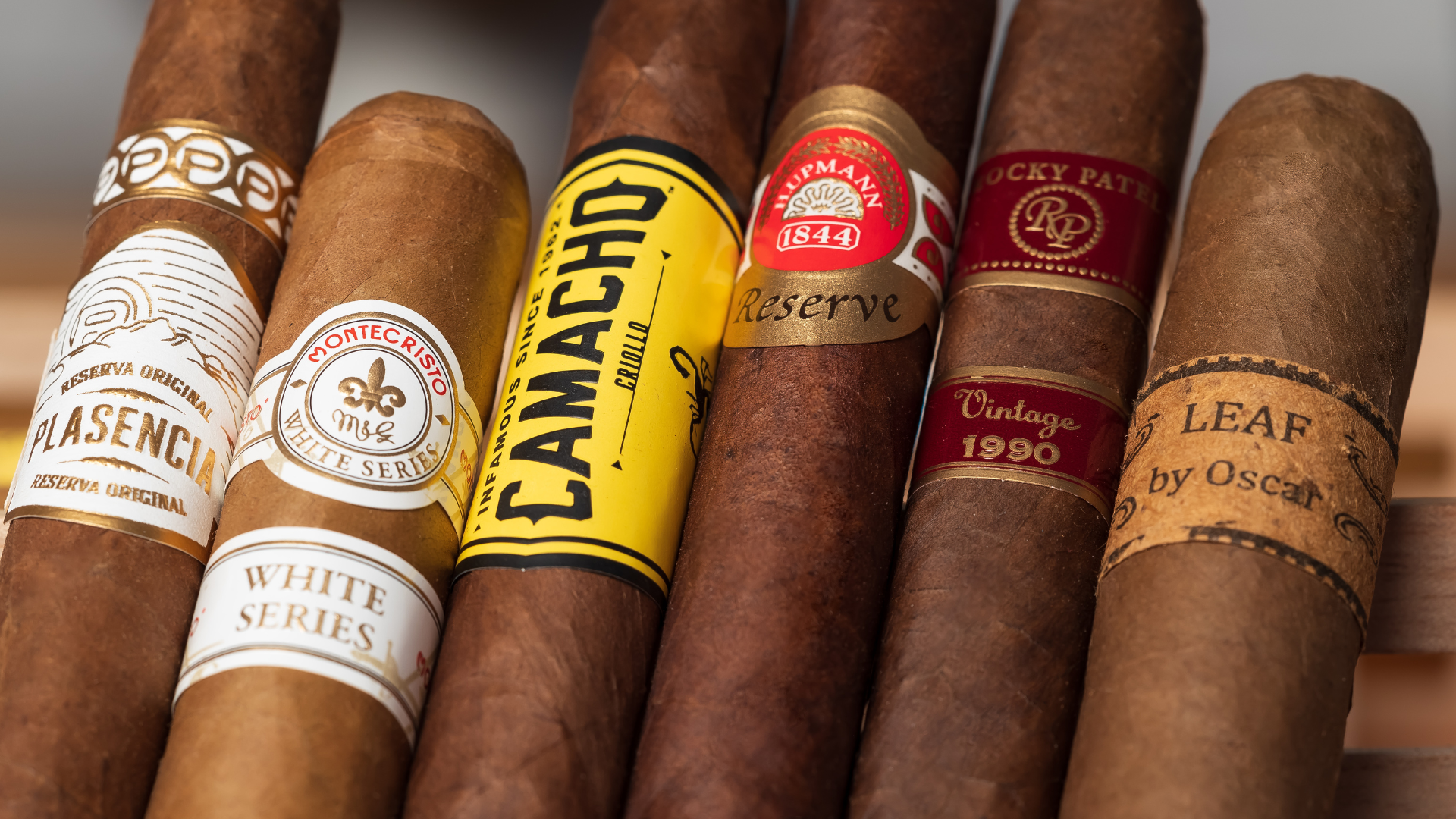 Zigarrenformate erklärt: Robusto, Churchill, Toro & Co.
