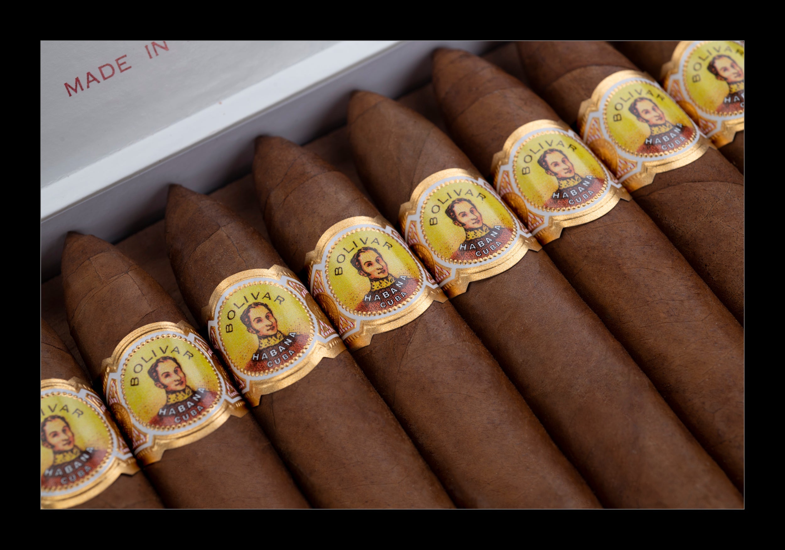 Bolivar