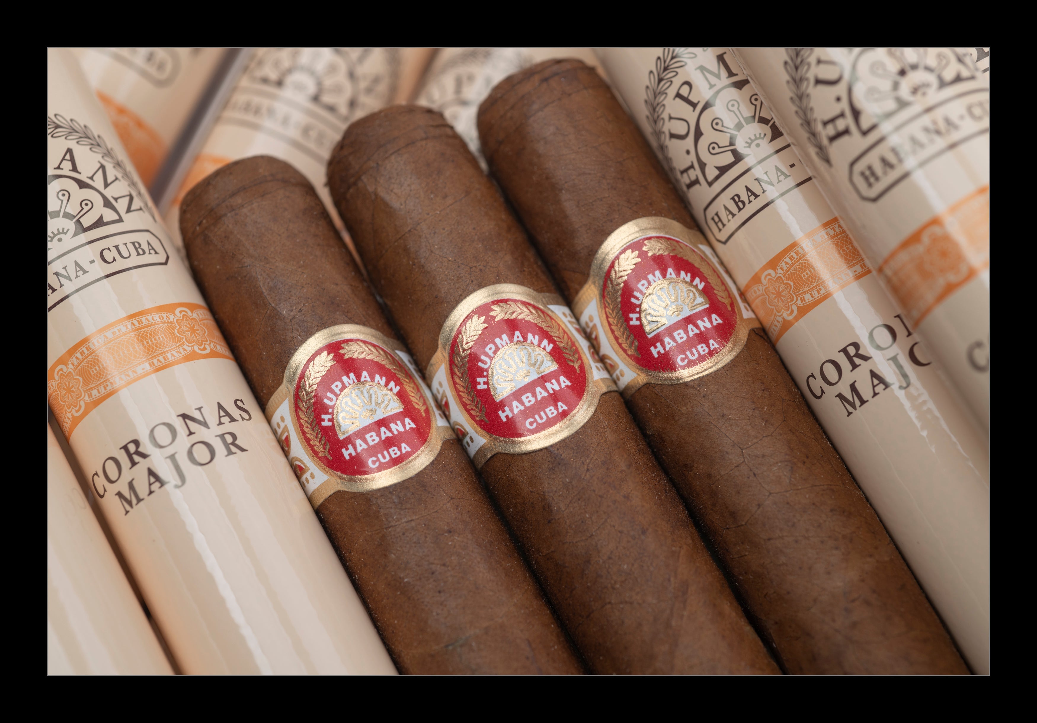 H.Upmann