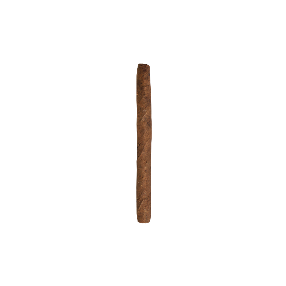 KOPP_Fabiolas_senorita1.png