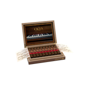 Oliva - Serie V Melanio Edicion 2024