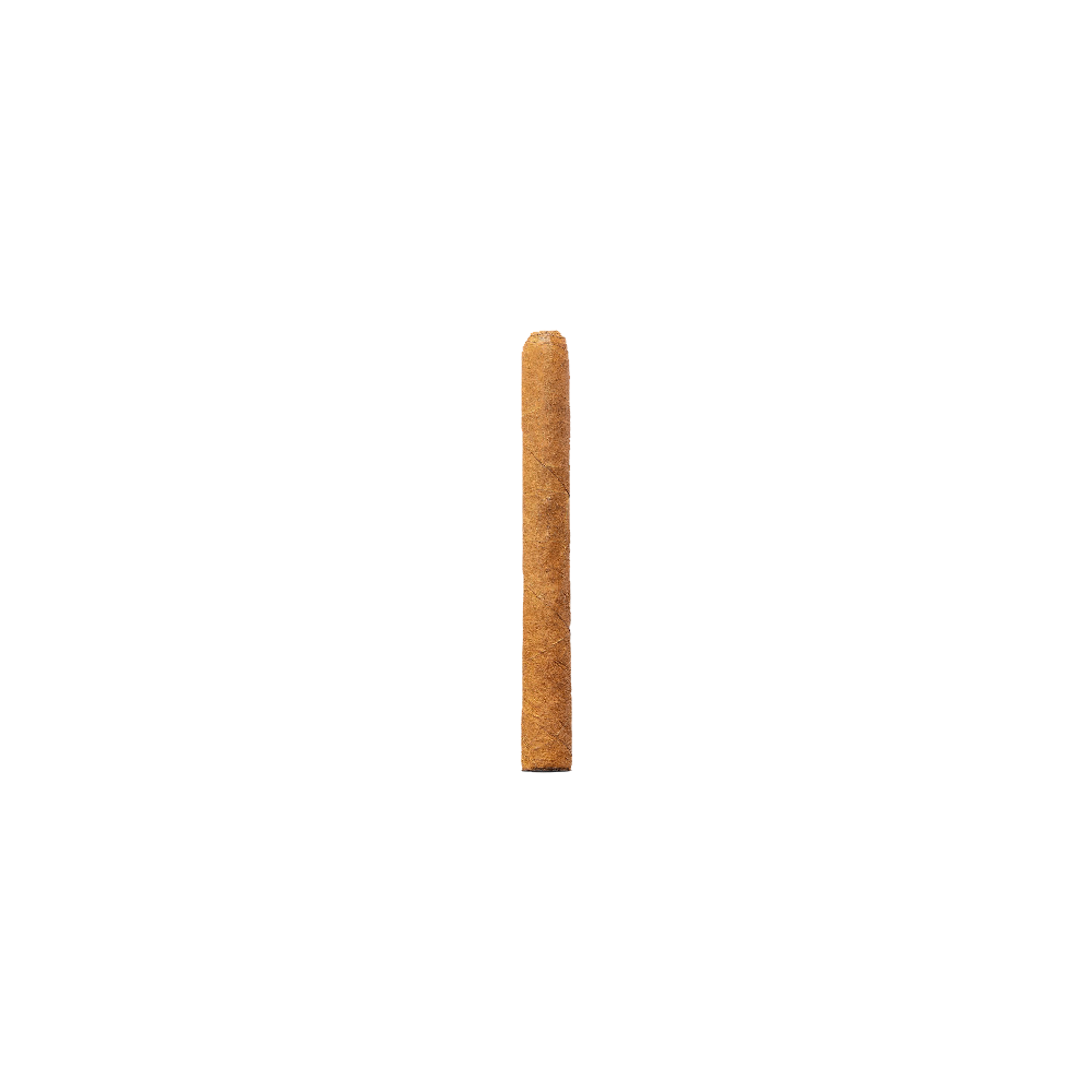 NeuesProjekt_32.png
