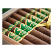 Plasencia Triunfal 2026 Limited Editon 2026 Gran Toro