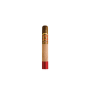 Arturo Fuente - The Lost City Limited Edition 2023 Double Robusto Tubo