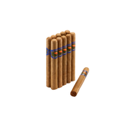 Ibis - Bundle Nicaragua Corona