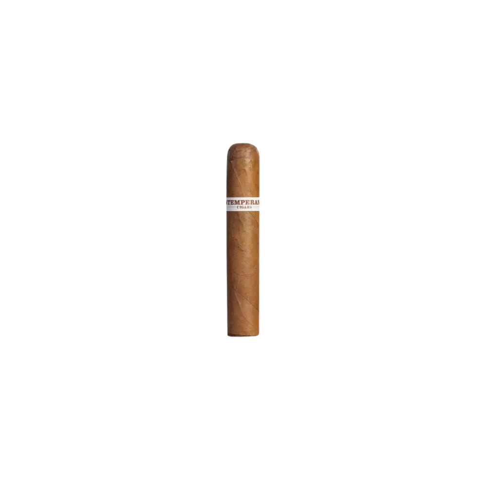 RoMaCraft-IntemperanceECXVIIIVirtue.png