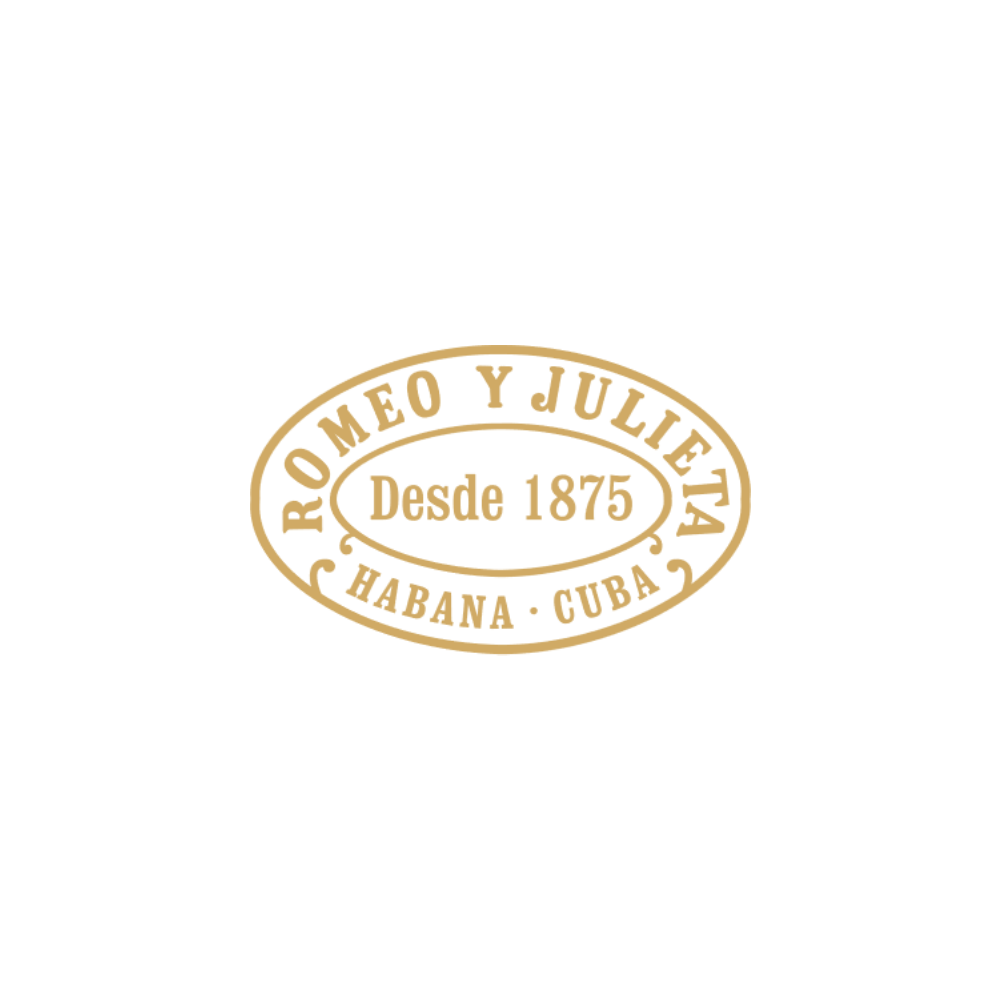RyJ_Logo_kol.png