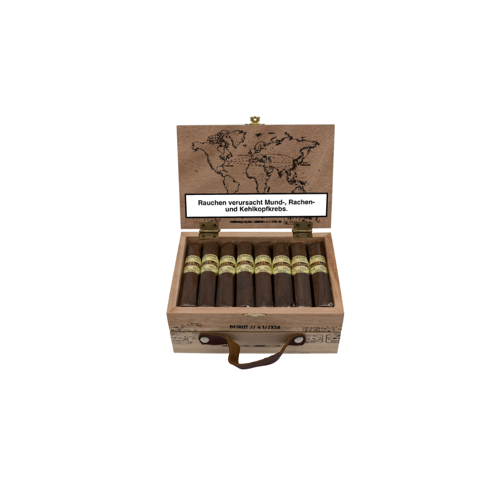 The-Traveler_Nicaragua_Beirut_box_24_08.png
