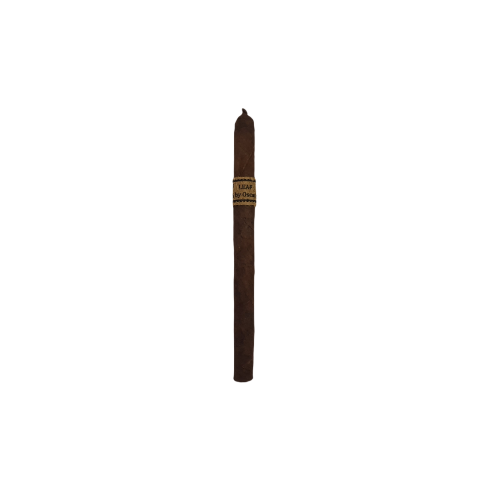 leaf-by-oscar-lancero-maduro.png