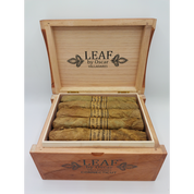 Oscar Valladares - Leaf by Oscar  Connecticut Toro