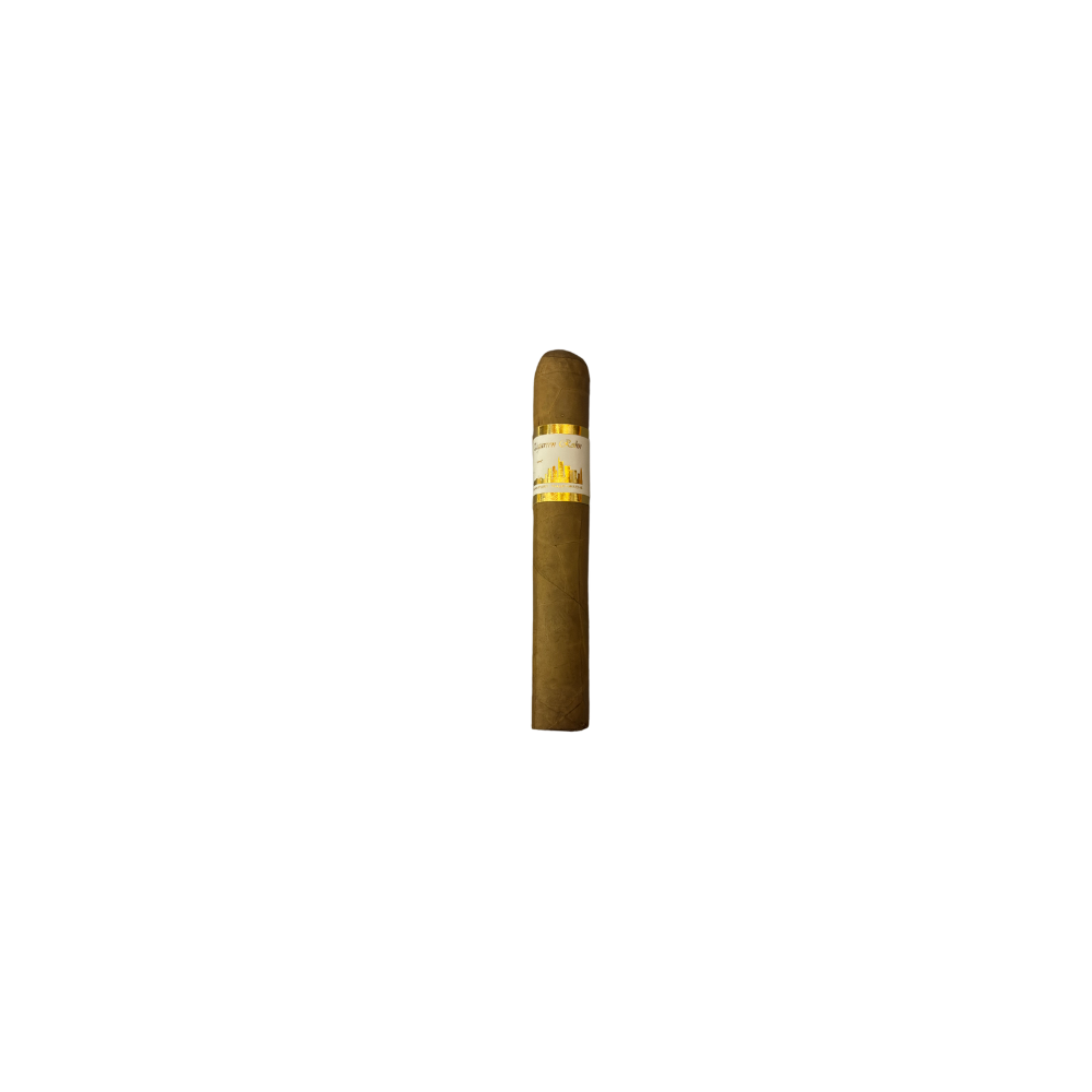 rohn_suav_rob_sgl.png